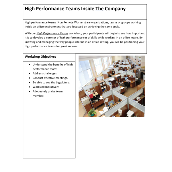 High Performance Teams Inside the Company