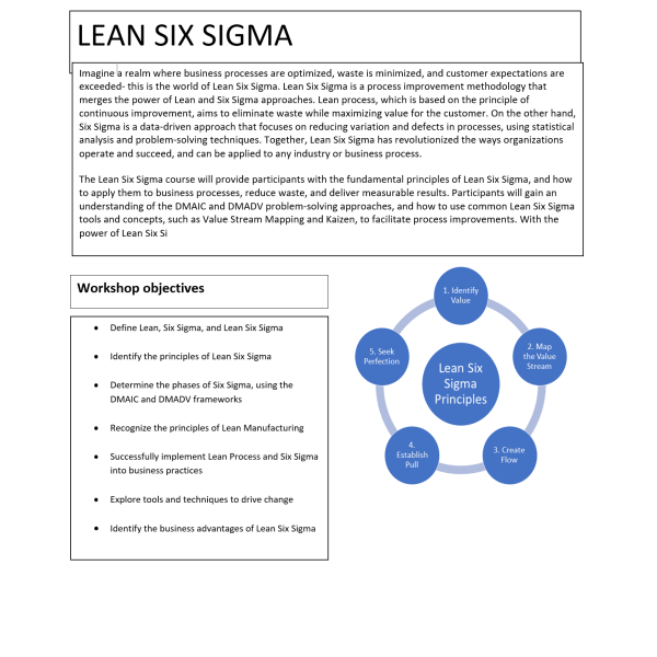 Lean Six Sigma